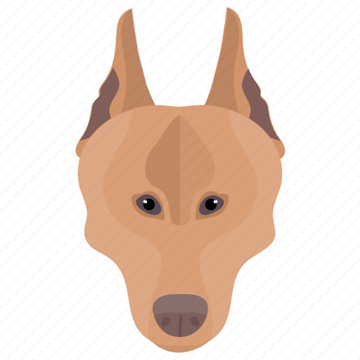 Animal, dobermann, dog, dog breed, domestic dog icon - Download on Iconfinder