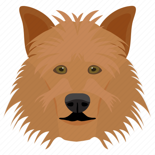 Animal, dog, dog breed, sheltie, shetland sheepdog icon - Download on Iconfinder