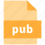 extension, file, format, pub 