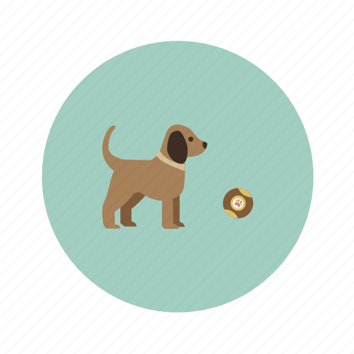 Animals, ball, dog, pet icon - Download on Iconfinder