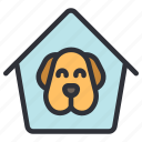 home, shelter, puppy, face, house, dog, animal, pet