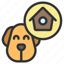 home, shelter, puppy, face, house, dog, animal, pet