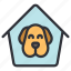 home, shelter, puppy, face, house, dog, animal, pet 