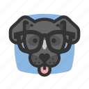 dog, avatar, glasses, nerd, eyeglasses, reading, pet, puppy