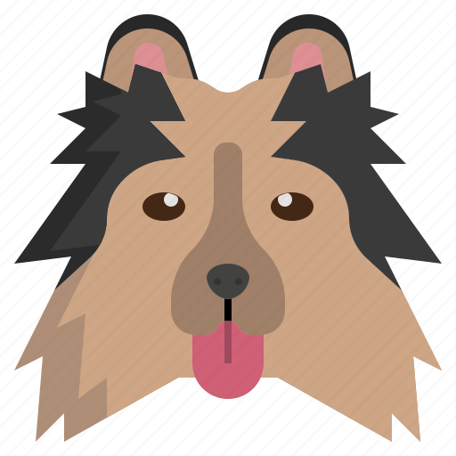 Shetland, sheepdog, dog, nose, mammal, animals, pets icon - Download on Iconfinder