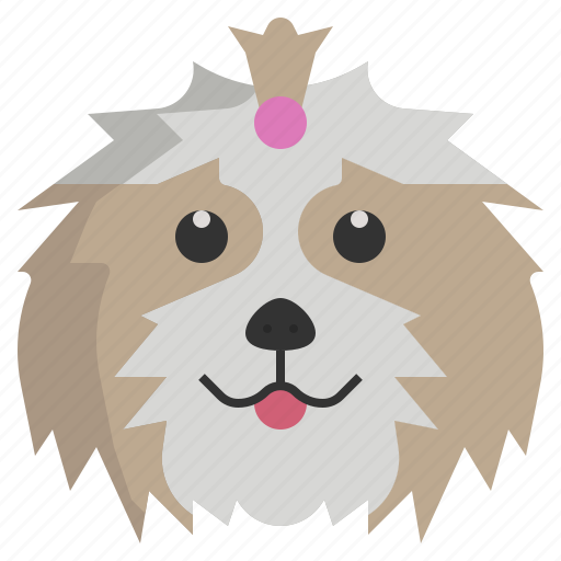 Shih, tzu, zoology, breed, pet, dog, animal icon - Download on Iconfinder