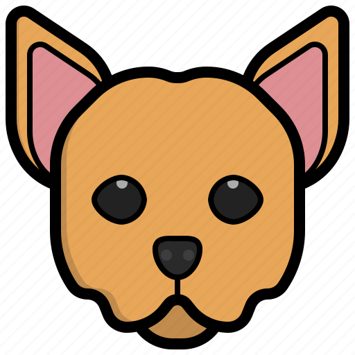 Chihuahua, dog, nose, animals, mammals, puppy icon - Download on Iconfinder
