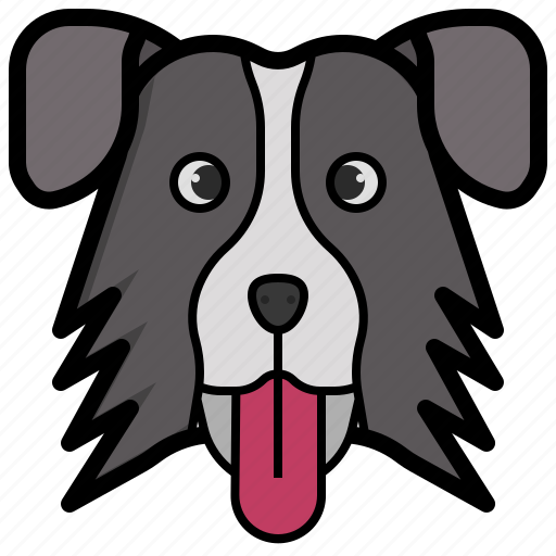 Collie, dog, breed, animal, kingdom, pet, mammal icon - Download on Iconfinder