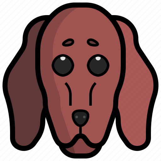 Dachshund, dog, zoology, breed, animal, kingdom, pet icon - Download on Iconfinder