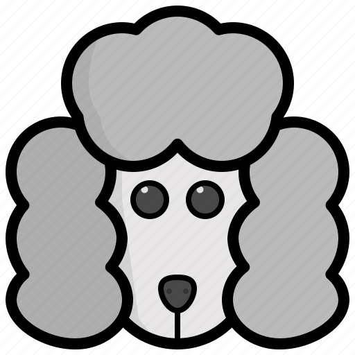 French, poodle, breed, pedigree, mammal, dog, canine icon - Download on Iconfinder