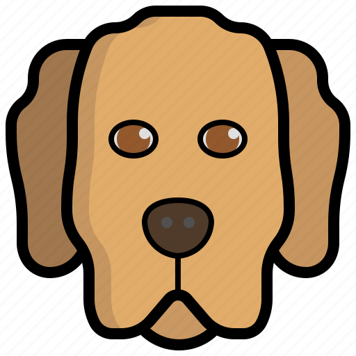 Golden, retriever, dog, breed, animal, kingdom, mammal icon - Download on Iconfinder