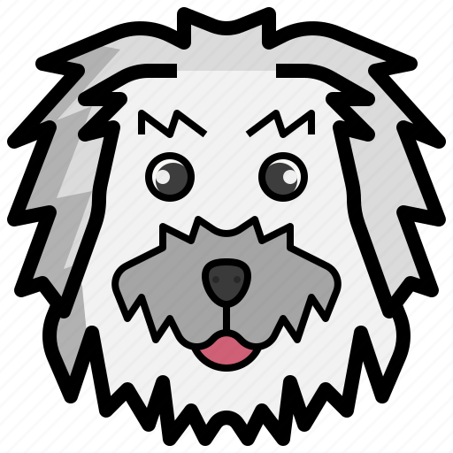 Maltese, zoology, breed, pet, dog, animal icon - Download on Iconfinder