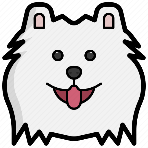 Pomeranian, breed, pet, dog, zoology, animal icon - Download on Iconfinder