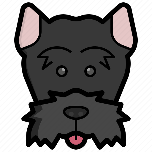 Scottish, terrier, dog, animal, kingdom, pet, mammal icon - Download on Iconfinder