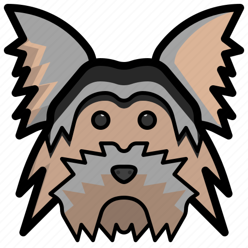 Yorkshire, terrier, dog, nose, mammal, pets, animal icon - Download on Iconfinder