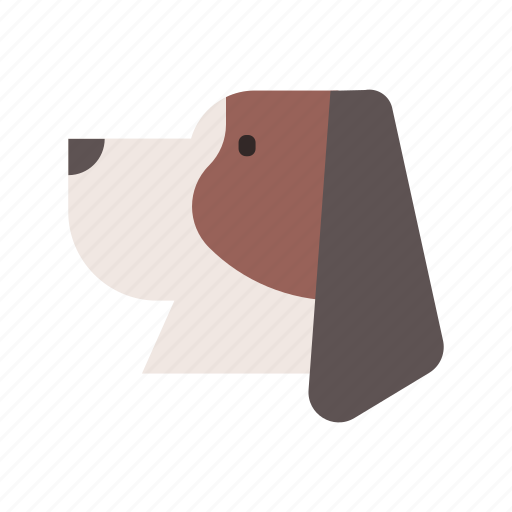 Basset, basset hound, breed, dog, hound, pedigree, pet icon - Download on Iconfinder