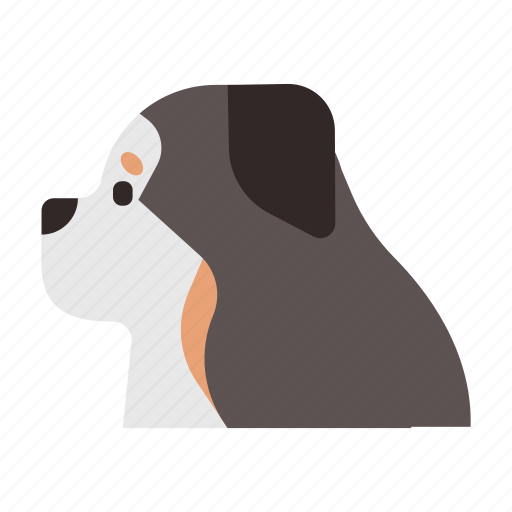 Bernese mountain, breed, canine, dog, pedigree, pet, purebred icon - Download on Iconfinder