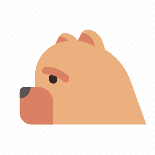 Breed, canine, china, chow chow, dog, pet, purebred icon - Download on Iconfinder