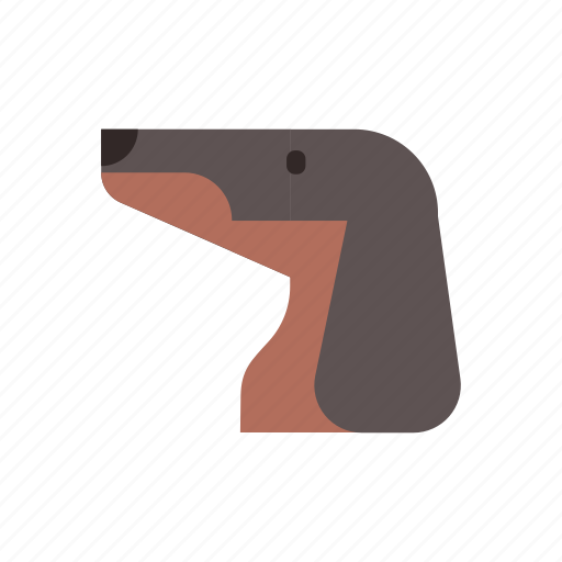 Breed, canine, dachshund, dog, pedigree, pet, purebred icon - Download on Iconfinder