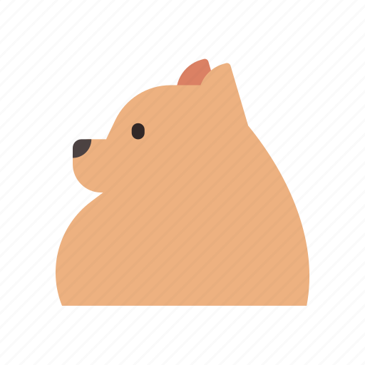 Breed, canine, dog, pet, pomeranian, purebred, small icon - Download on Iconfinder