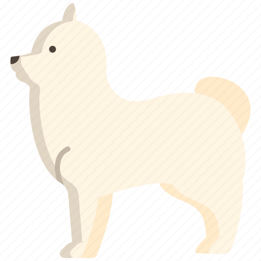 Pomeranian icon - Download on Iconfinder on Iconfinder
