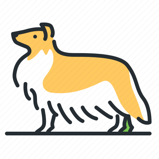 Breed, canine, collie, dog icon - Download on Iconfinder