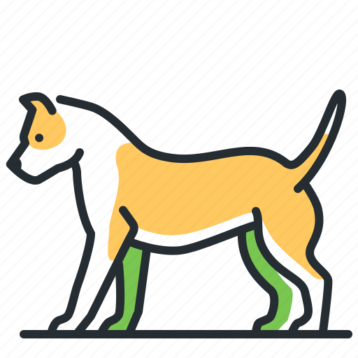 Breed, canine, dog, pitbull terrier icon - Download on Iconfinder