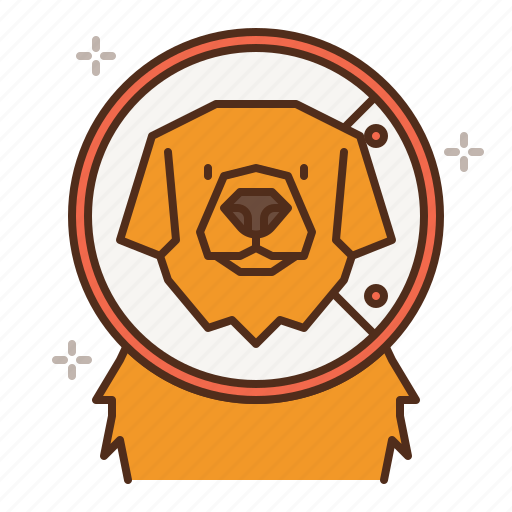 Dog, care, cone, colloar, surgery, healing, recovery icon - Download on Iconfinder