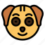 happy, dog, animal, wildlife, emoji 