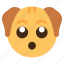 surprised, dog, animal, wildlife, emoji 