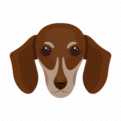 Animal, breed, dachshund, dog, domestic, muzzle, pet icon - Download on Iconfinder