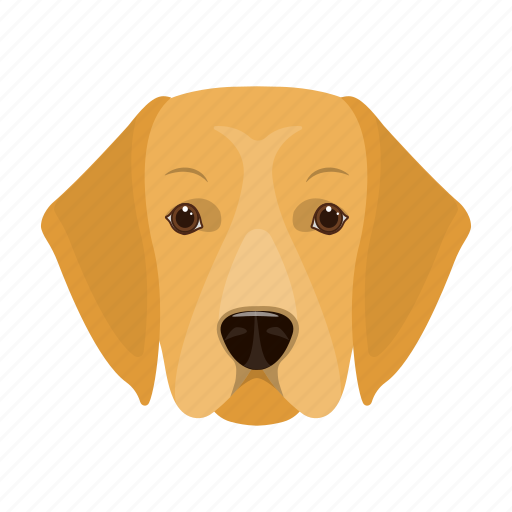 Animal, breed, dog, domestic, labrador, muzzle, pet icon - Download on Iconfinder