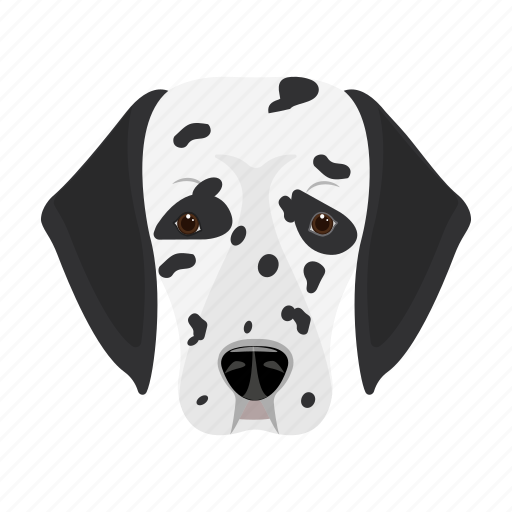 Animal, breed, dalmatian, dog, domestic, muzzle, pet icon - Download on Iconfinder