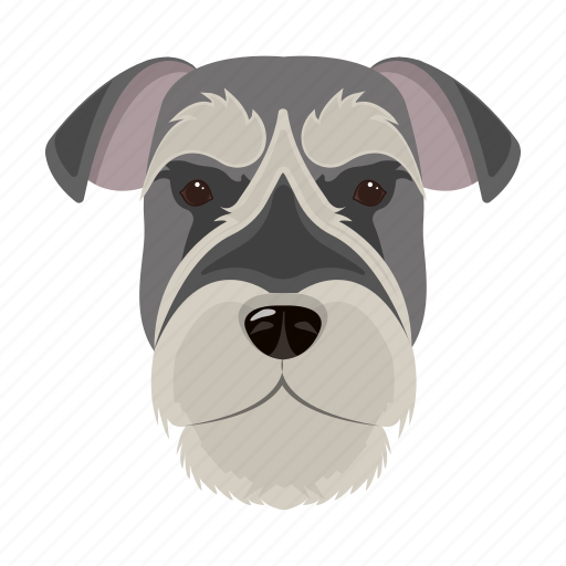 Animal, breed, dog, domestic, muzzle, pet, risen-schnauzer icon - Download on Iconfinder