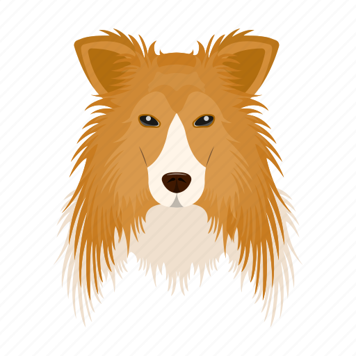 Animal, breed, collie, dog, domestic, muzzle, pet icon - Download on Iconfinder