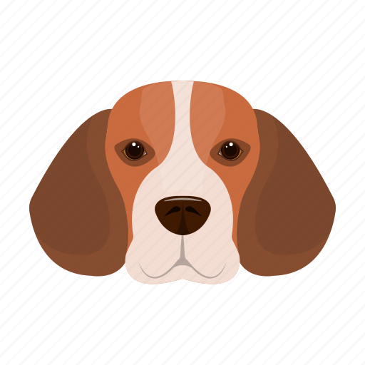 Animal, beagle, breed, dog, domestic, muzzle, pet icon - Download on Iconfinder