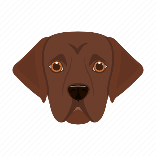 Animal, breed, dog, domestic, muzzle, pet, setter icon - Download on Iconfinder