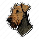 dog, pet, puppy, breed, animal, airedale terrier, airedale