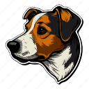dog, pet, puppy, breed, animal, jack russell, terrier