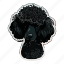 dog, pet, curly, animal, puppy, poodle, breed 