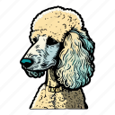 poodle, dog, pet, animal, puppy, breed, curly