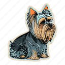 dog, pet, puppy, breed, animal, yorkshire terrier, yorkshire