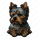 dog, pet, puppy, breed, animal, yorkshire terrier, zoo