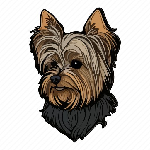 Dog, pet, animal, puppy, breed, yorkshire terrier, yorkshire icon - Download on Iconfinder