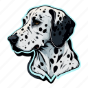 dalmatian, dog, animal, puppy, breed, pet, canine