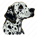 dalmatian, dog, animal, puppy, breed, pet, canine