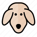 dog, cat, animal, pet, avatar, profile