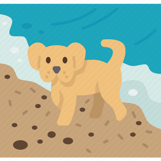 Dog, beach, pet, play, happy icon - Download on Iconfinder