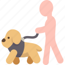 dog, walking, leash, pet, outdoor