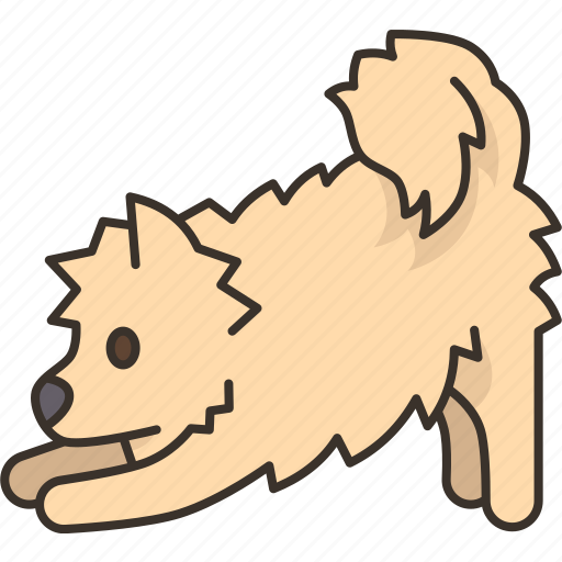 Dog, crawl, canine, pet, animal icon - Download on Iconfinder